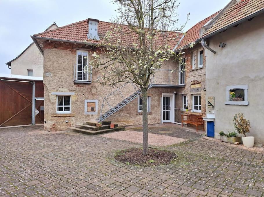 Ferienwohnung Tante Trude Bad Kreuznach Exterior photo